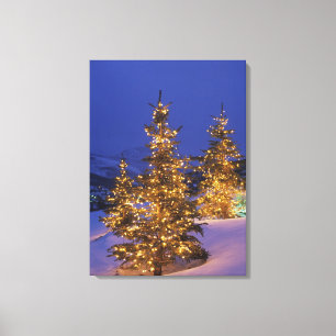 Julgranar Park City, Wastch berg, 2 Canvastryck