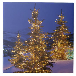 Julgranar Park City, Wastch berg, 2 Kakelplatta