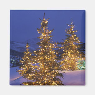 Julgranar Park City, Wastch berg, 2 Magnet