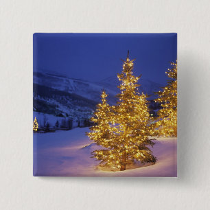 Julgranar Park City, Wastch berg, Knapp