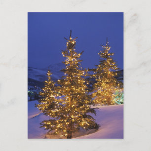 Julgranar, Park City, Wastch Mountain, 2 Helg Vykort