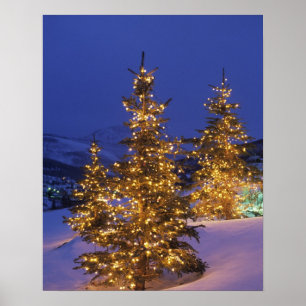 Julgranar, Park City, Wastch Mountain, 2 Poster