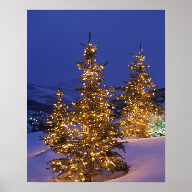 Julgranar, Park City, Wastch Mountain, 2 Poster (Framsidan)