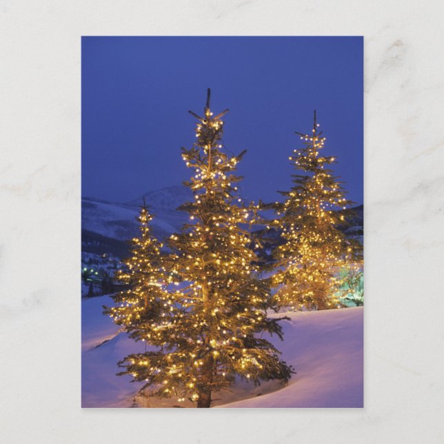 julgranar, Park City, Wastch Mountains, 2 Helg Vykort (Framsida)