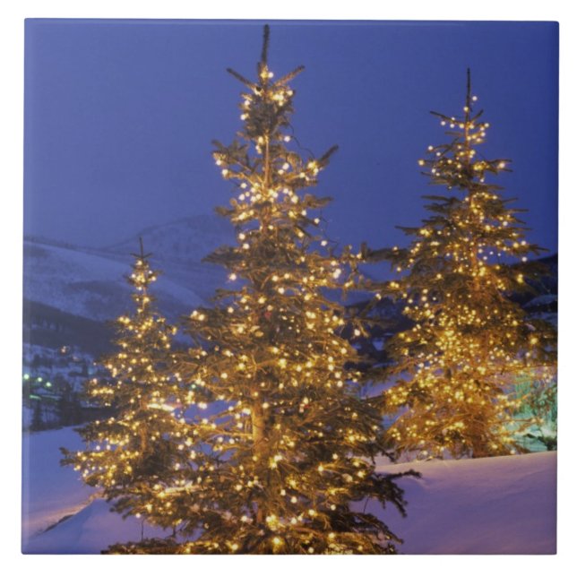 Julgranar, Park City, Wastch Mountains, 2 Kakelplatta (Framsidan)