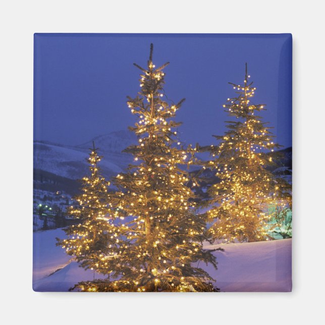 Julgranar, Park City, Wastch Mountains, 2 Magnet (Framsidan)