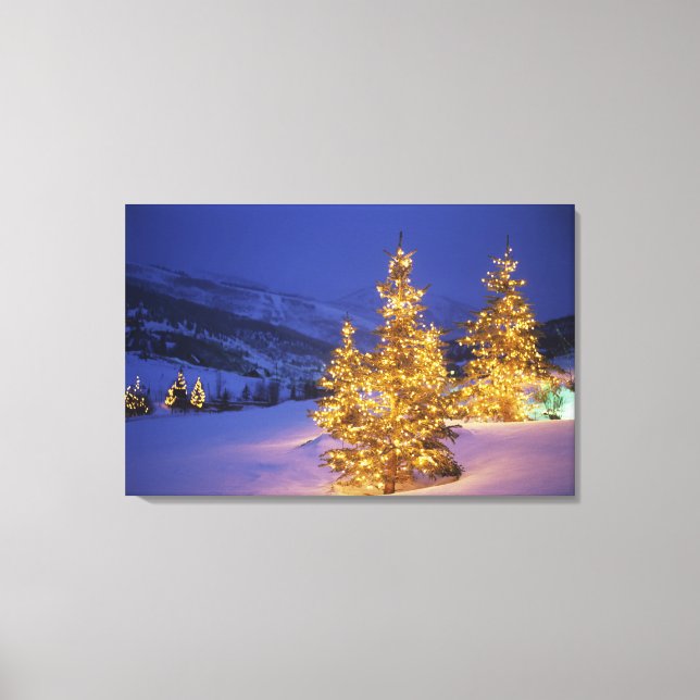 julgranar, Park City, Wastch Mountains, Canvastryck (Framsida)