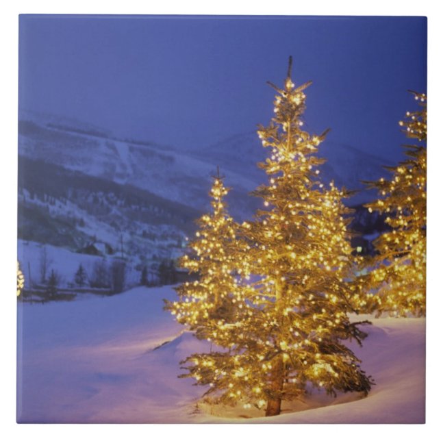 julgranar, Park City, Wastch Mountains, Kakelplatta (Framsidan)