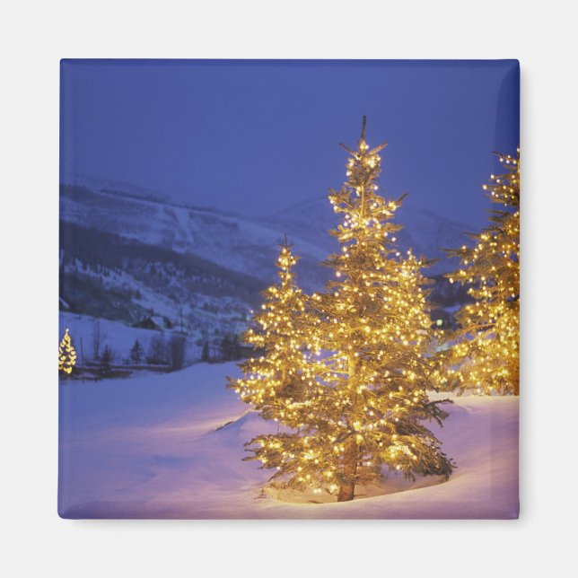 julgranar, Park City, Wastch Mountains, Magnet (Framsidan)