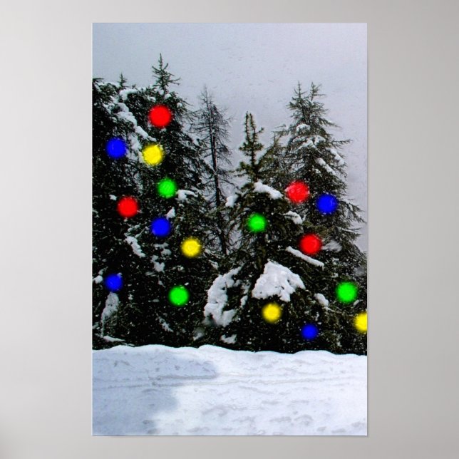 Julgranar Poster (Framsidan)