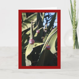 Julgrankaktus Helgkort