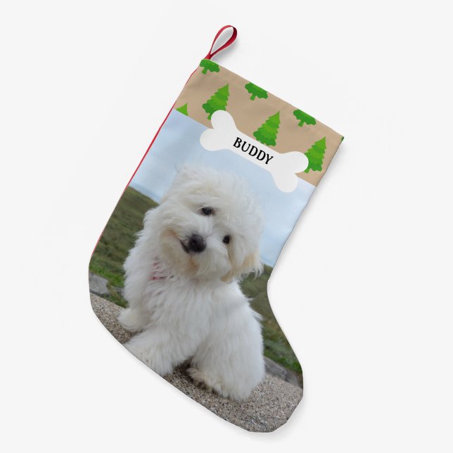 Julgranmönster Hundben Röntgenbild av husdjur Liten Julstrumpa (Framsidan (Hängande))