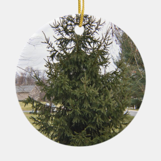 Julgranprydnad Julgransprydnad Keramik (Framsidan)
