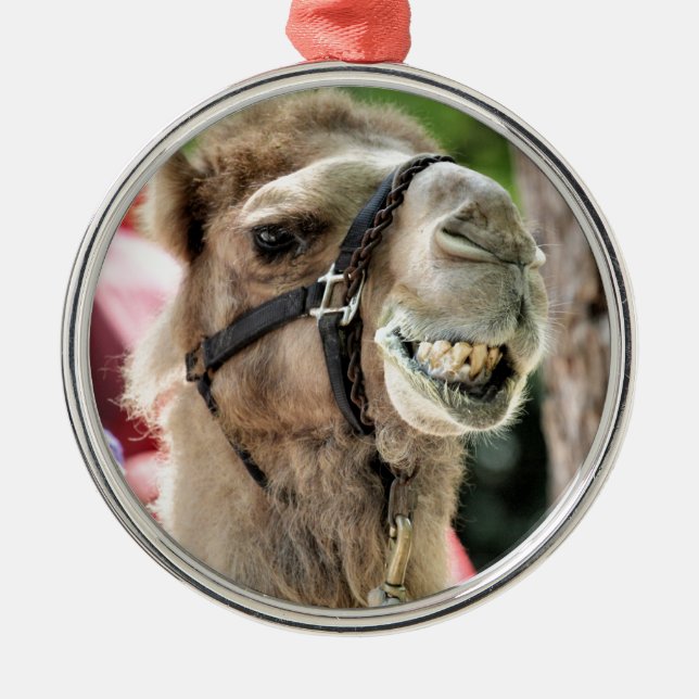  JULGRANSPRYDNAD METALL (Framsidan)