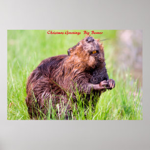 Julhälsningar Big Beaver Poster
