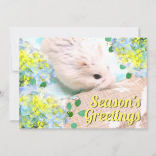 Julhälsningar Hamster med Blå Hydrangeor Julkort