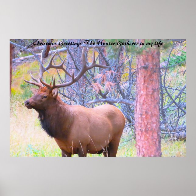 Julhälsningar Hunter Gatherer i mitt liv Poster (Framsidan)