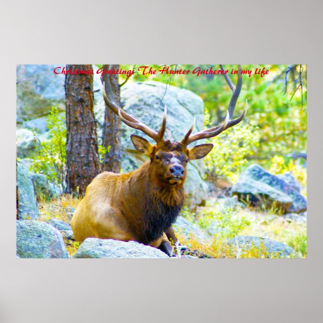 Julhälsningar Hunter Gatherer i mitt liv Poster (Framsidan)