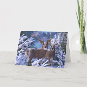 Julhälsningar julkort i Kväll Kort