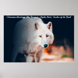 Julhälsningar Ledare för flocken Poster