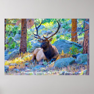 Julhälsningar Min Bästa Vän Poster