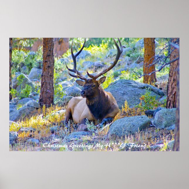 Julhälsningar Min Bästa Vän Poster (Framsidan)