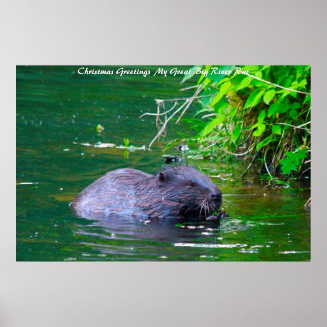 Julhälsningar Min Flodråtta Poster (Framsidan)