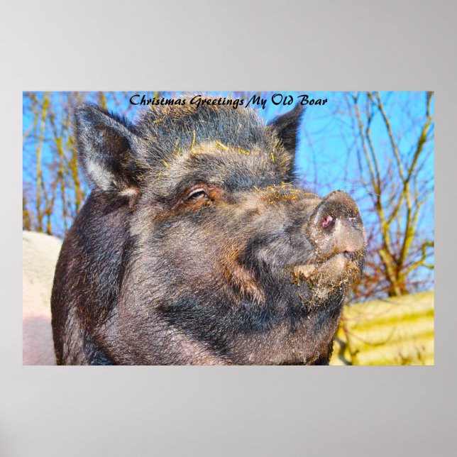 Julhälsningar - min gamla bok poster (Framsidan)