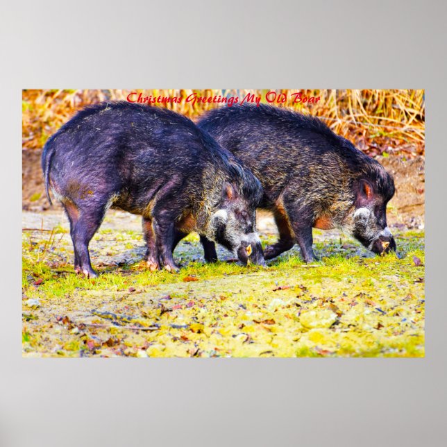 Julhälsningar - min gamla bok poster (Framsidan)