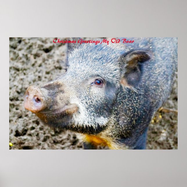 Julhälsningar - min gamla bok poster (Framsidan)