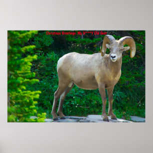 Julhälsningar Min honungsget Poster