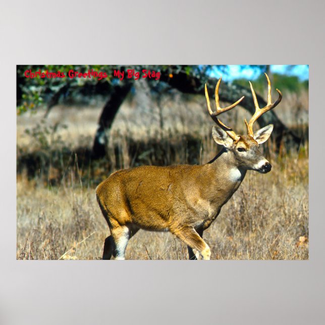 Julhälsningar min stora stämpel poster (Framsidan)