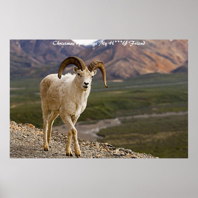 Julhälsningar Mina honungsvänner Poster (Framsidan)