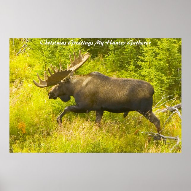 Julhälsningar Mina Hunter Gatherer Poster (Framsidan)