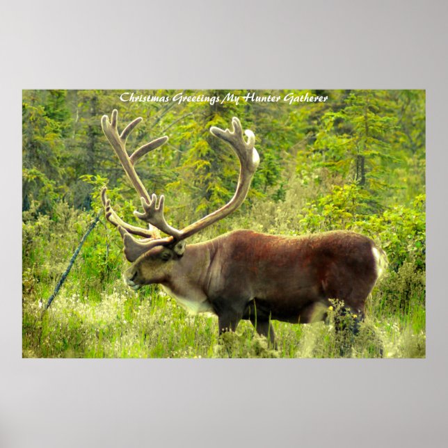 Julhälsningar Mina Hunter Gatherer Poster (Framsidan)