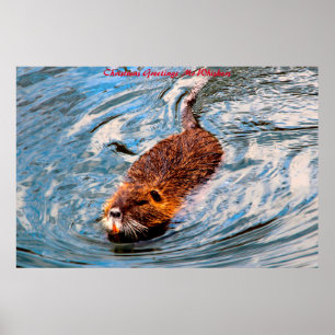 Julhälsningar Mr Whiskers Poster