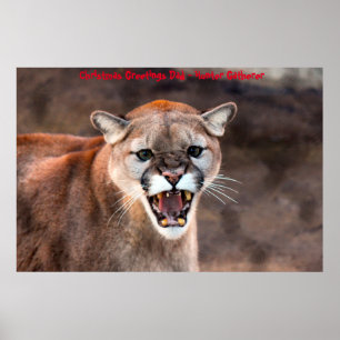 Julhälsningar Pappa Jägare-Samlare Poster