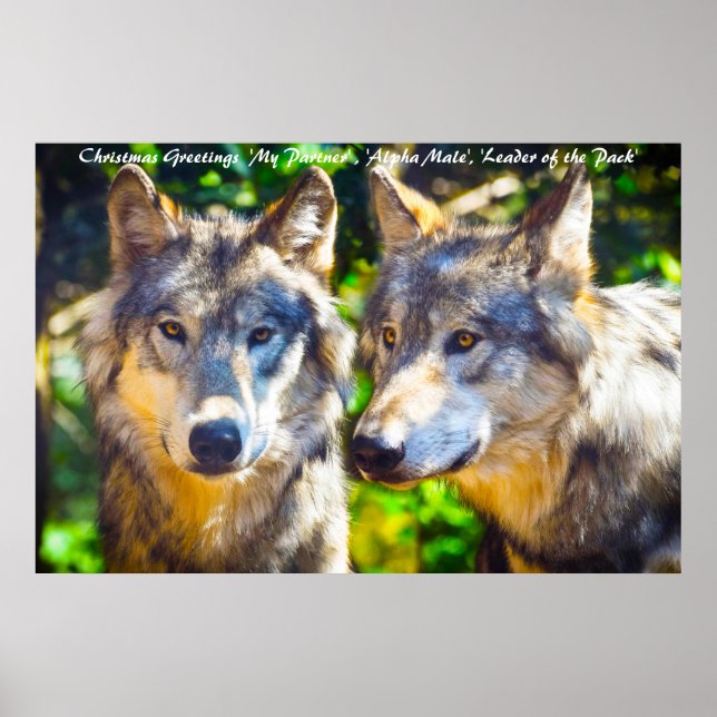 Julhälsningar: Poster (Framsidan)