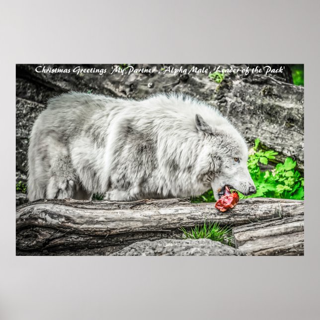 Julhälsningar: Poster (Framsidan)