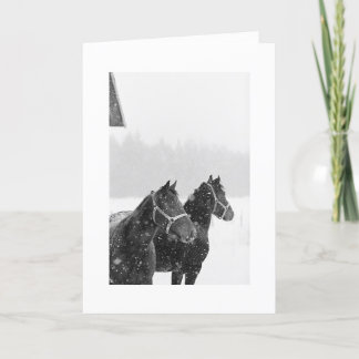 Julhälsningar Snö Horses Julafton Equine jul Helgkort