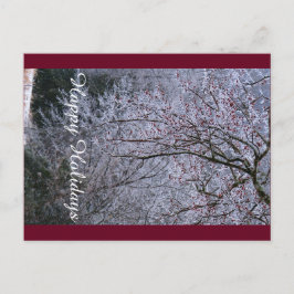 Julhälsnings vykort