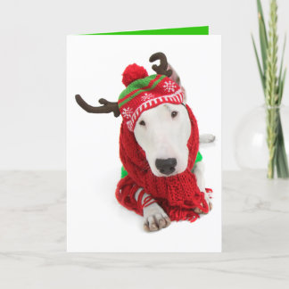 Julhälsningskort-enshörnig Bullterrier Helgkort