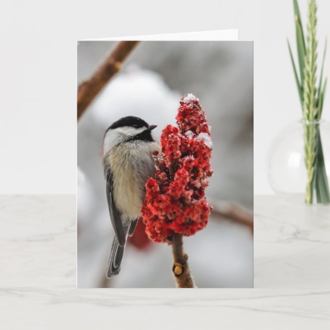 Julhälsningskort för Chickadee Helgkort (Framsida)
