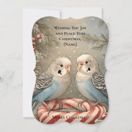 Julhälsningskort i candy cane Budgie