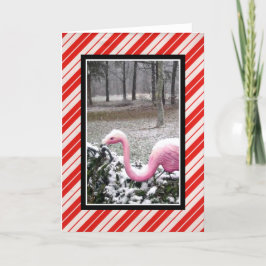 Julhälsningskort med Flamingo Helgkort