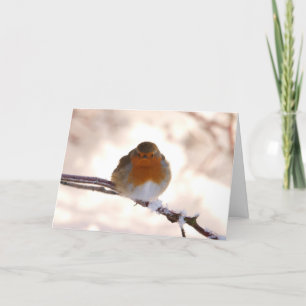 Julhälsningskort med Robin Helgkort