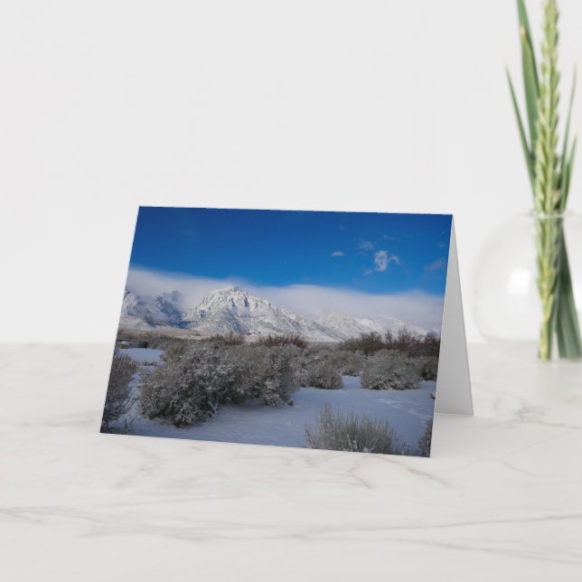 Julhälsningskort med skript kort (Framsida)