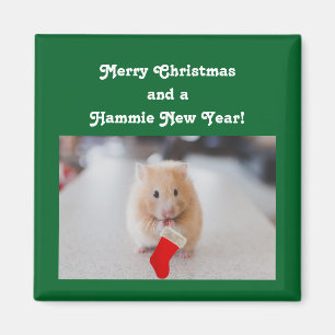 JulHamster Magnet