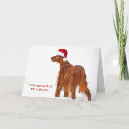 Julhatt på Irish Setter i snöflingor Kort