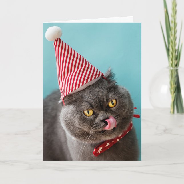 Julhumor med katt kort (Framsida)